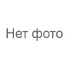 Seinsa
